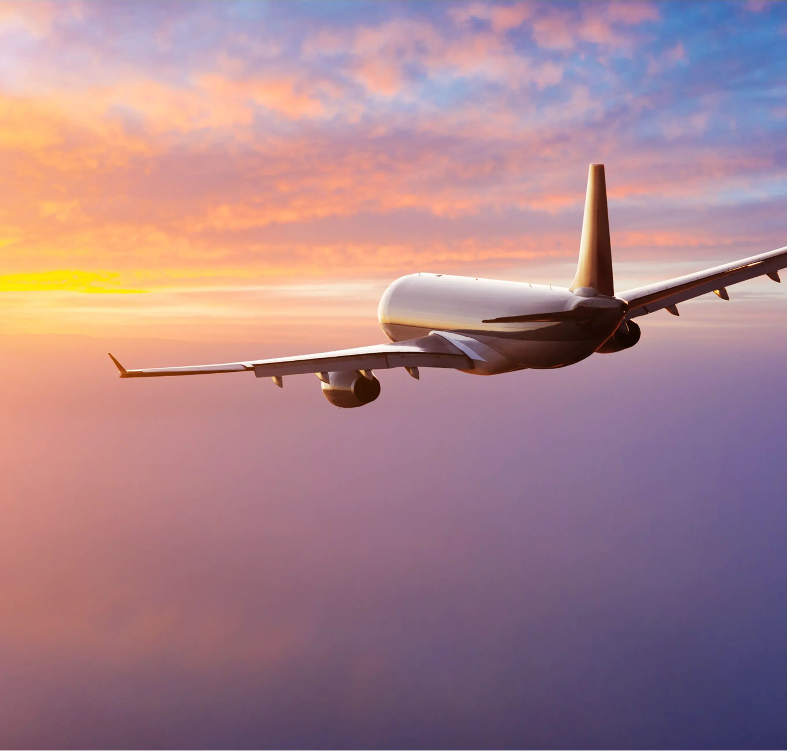 International Repatriation